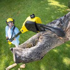Lawn Watering Services in Stevenson, WA